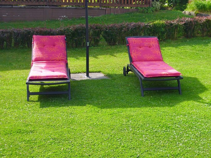 photo/Garten-5 - kopie.JPG